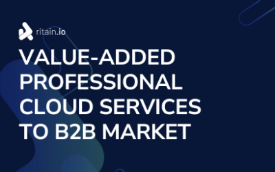 Value-added Cloud Professional Services to B2B Market 